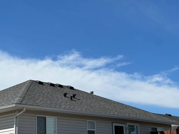 Best Roof Leak Repair  in West University Place, TX